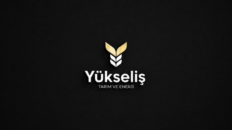 logo tasarımı
