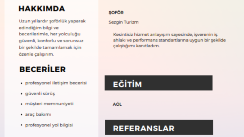 resmi kurum için cv