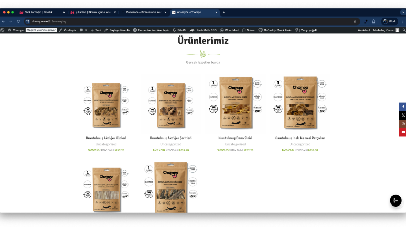 E - Ticaret Wordpress