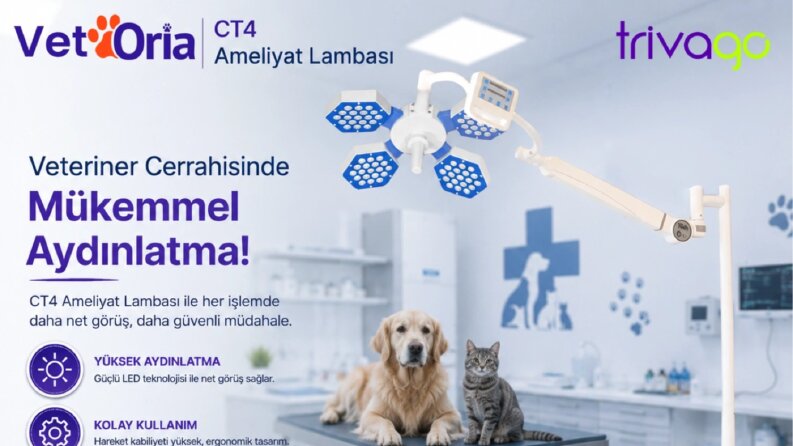 Pulcuoglu / Vetoria Kampanyası