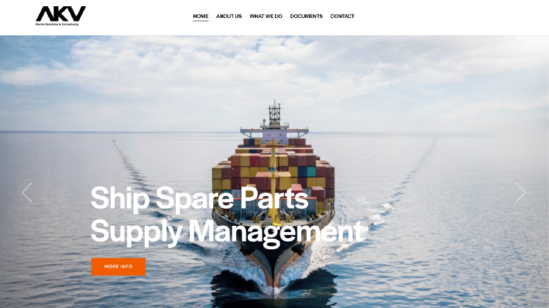 Wordpress Examples