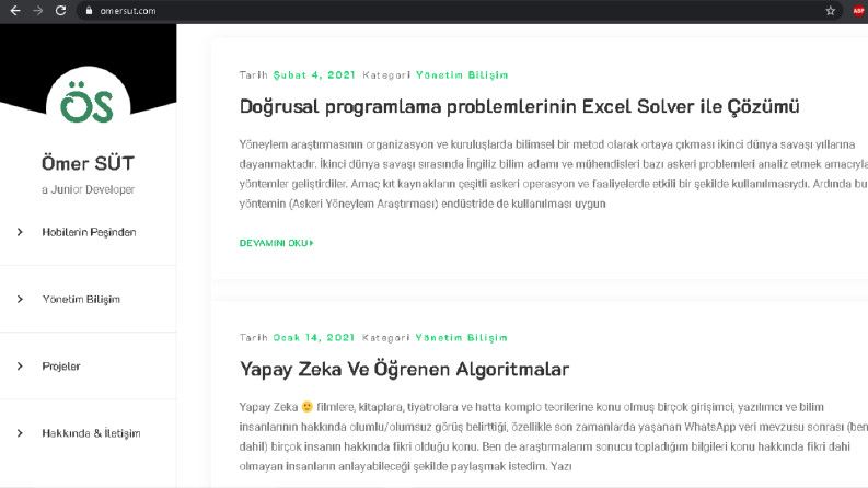 Portfolyo Web Sitesi