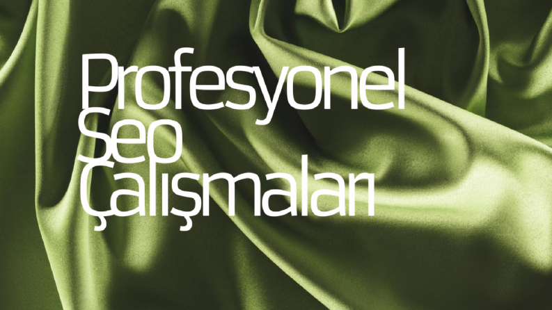 Profesyonel SEO ÇALIŞMALARI
