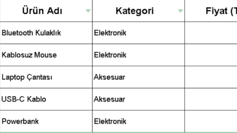 Excel Veri Girişi ve Tablo Düzenleme Örneği