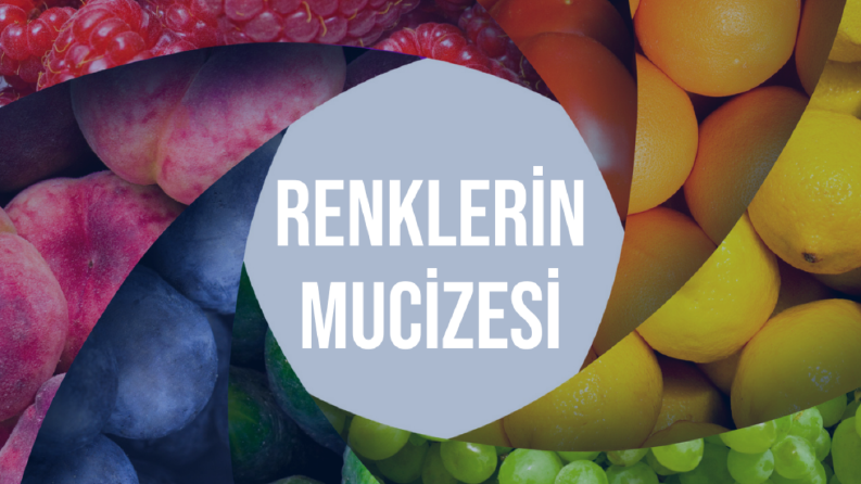 Instagram İçerik Serisi-Renklerin Mucizesi