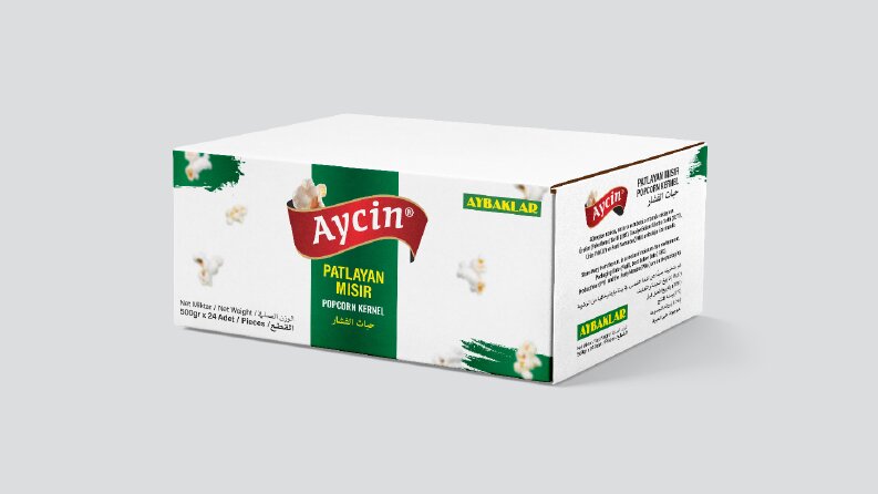 Aycin Koli Tasarımı