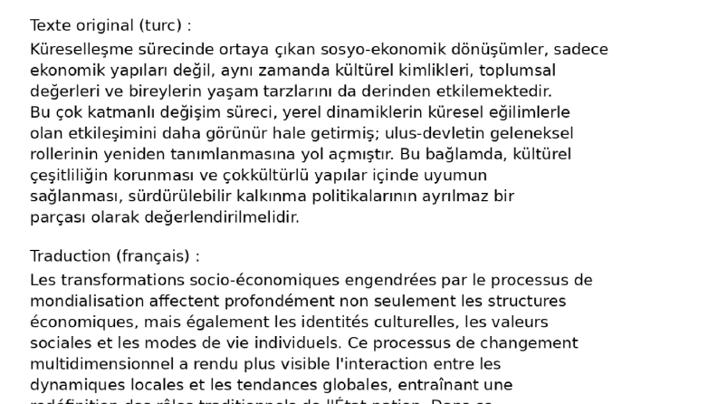 Exemple de Traduction – Turc vers Français