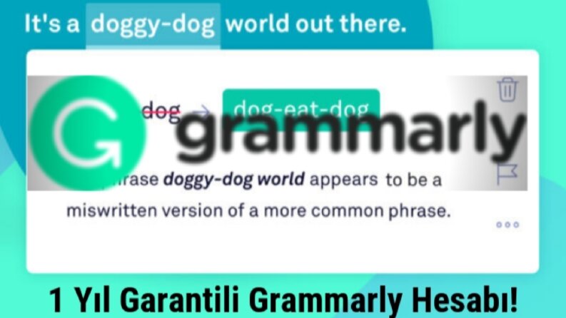 Grammarly Premium Hesap