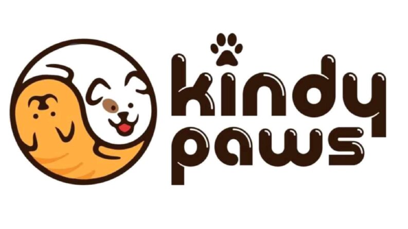 Kindy Paws Logo Tasarımı