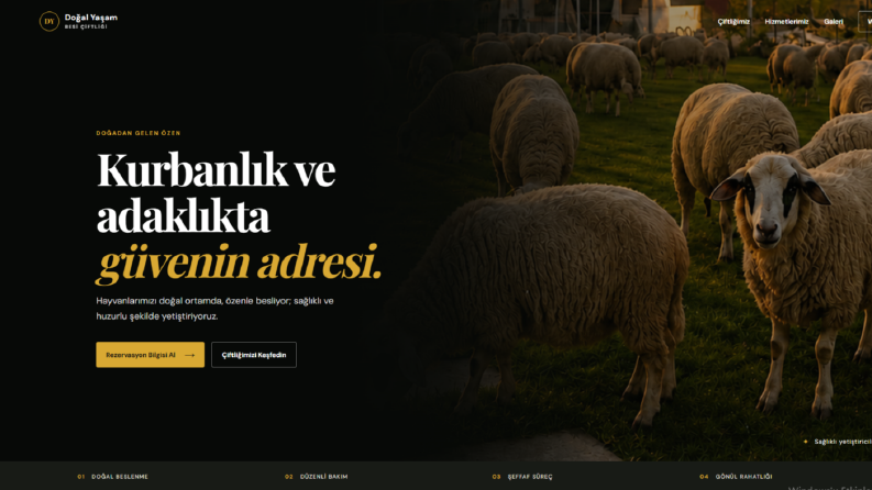 Web site tasarımlarım
