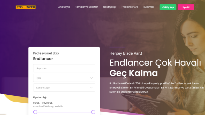 Endlancer Web Site