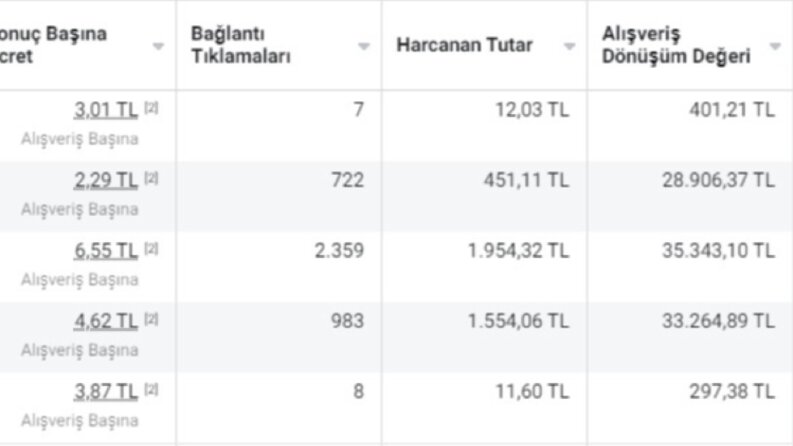 Reklam Yönetimi Yaptığım İşletmelerin Kazançları