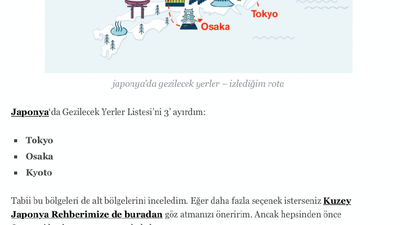 Fil Gezi - Japonya Gezi Rehberi