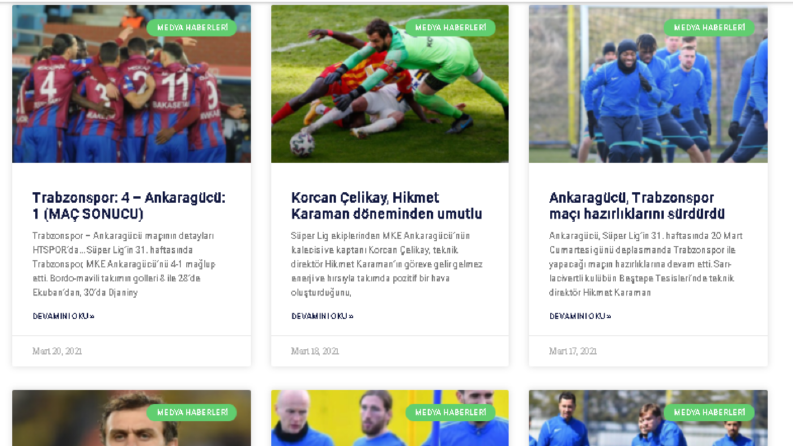 Wordpress'e ürün girişi
