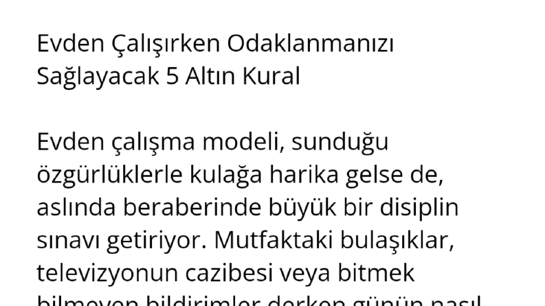SEO Uyumlu Blog Örneği: Evden Çalışma Rehberi
