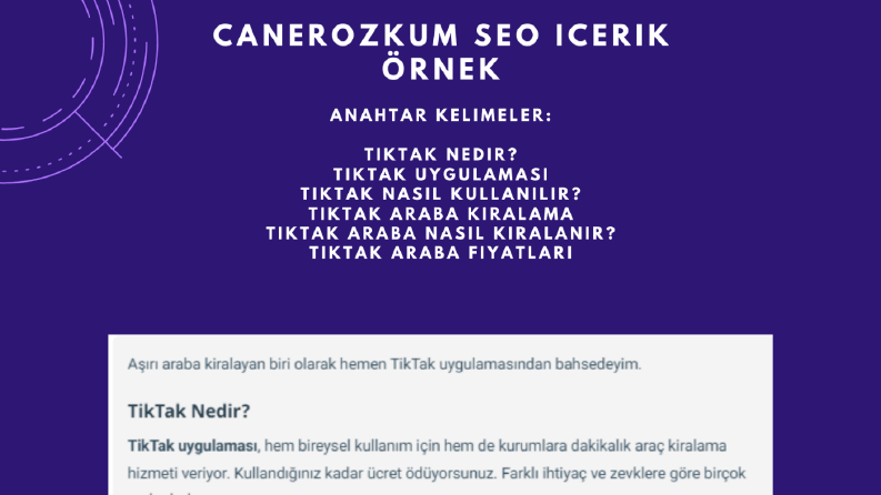 SEO Uyumlu İçerik Çalışması - 2