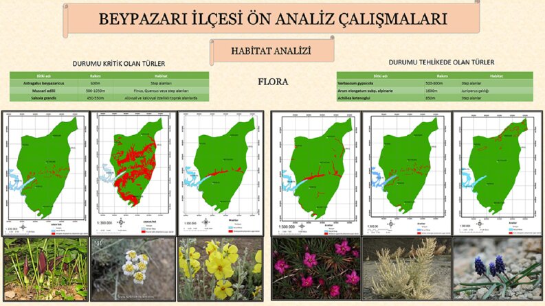  ArcGIS ile yapılmış olan harita ve analizler
