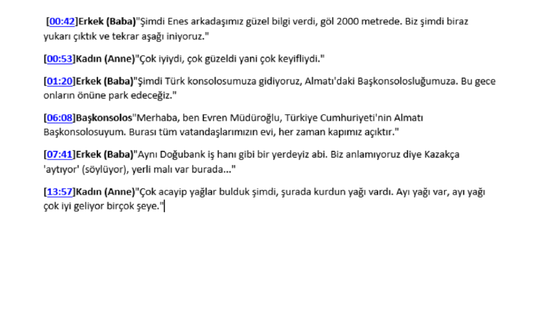 Çok Konuşmacılı Vlog ve Gezi Videosu Deşifre Çalışması