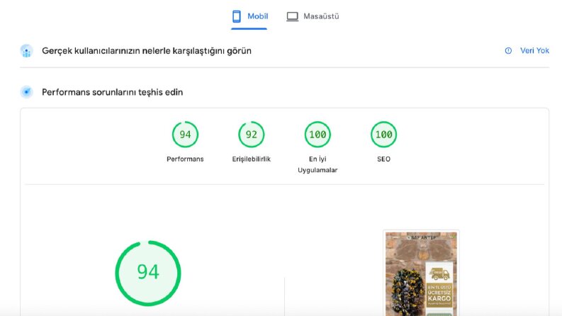 Google PageSpeed Yüksek Skorlu Hızlı Web Sitesi Geliştirme