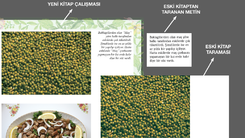 "Geleneksel Alanya Yemekleri" Kitabı