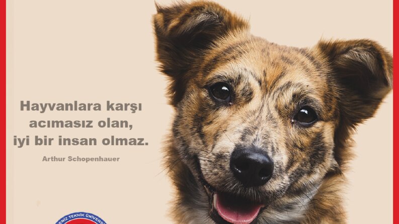 Duyarsız Kalma
