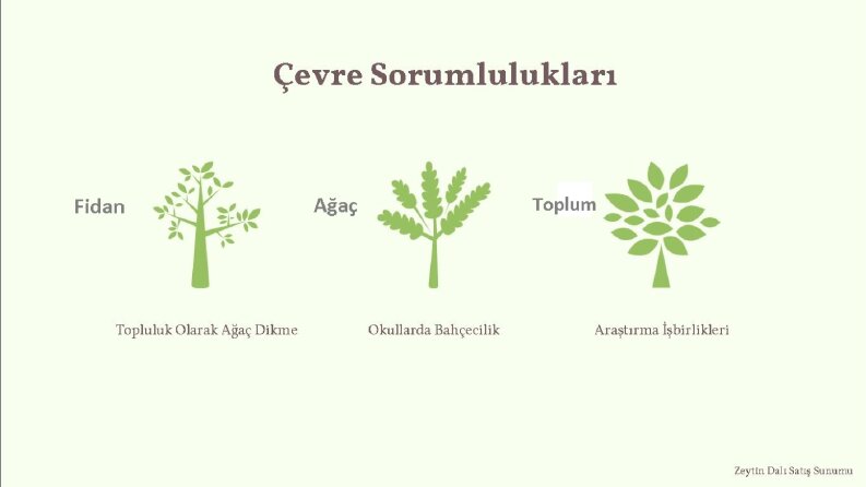 PowerPoint Sunum Örnekleri