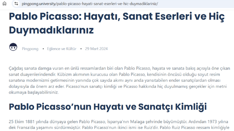 PİCASSO HAKKINDA YARATICI METİN