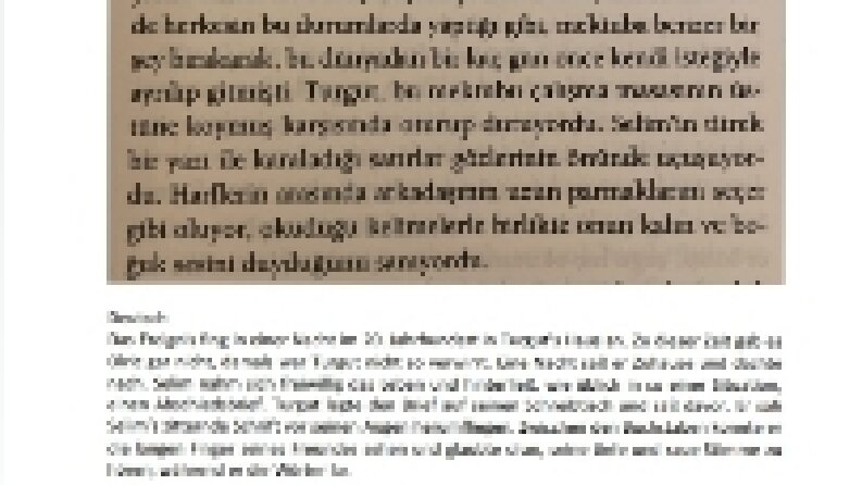 Almanca çeviri