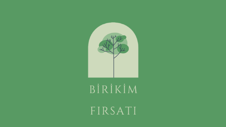 Birikim Fırsatı