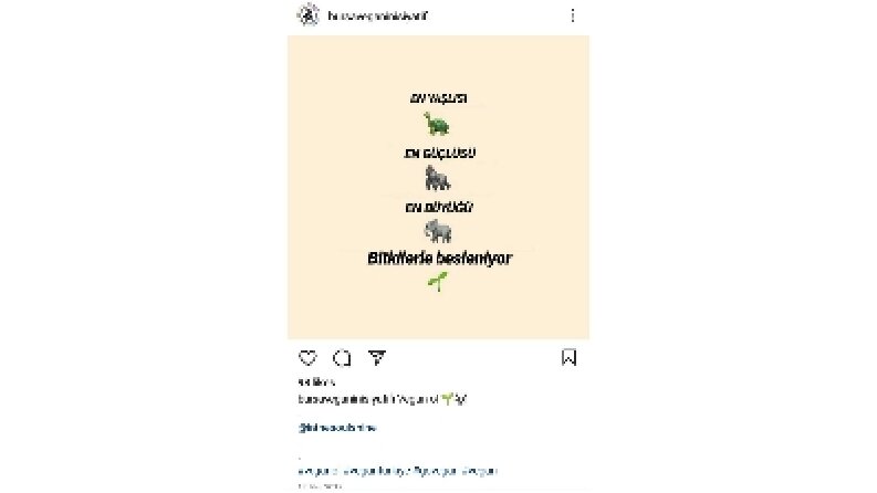 Sosyal medya içerik üreticiliği