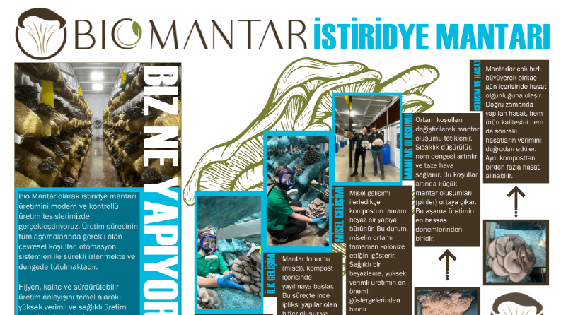 Pano,Pankart Tasarımı