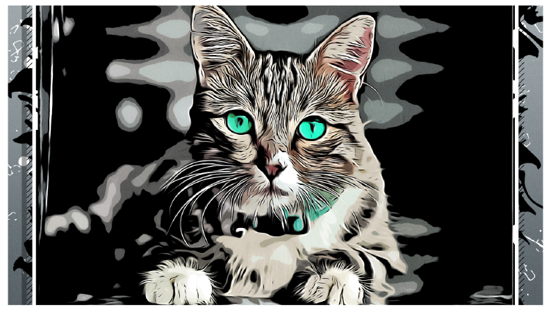 Cartoon tarzda örnek