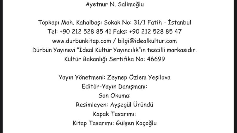Çocuk Kitabı Dizgisi