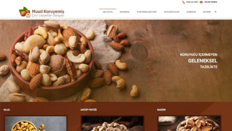 Kurumsal Kuruyemişçi için web sitesi 