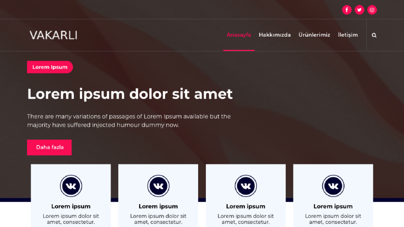 Kurumsal Web Sitesi - Wordpress