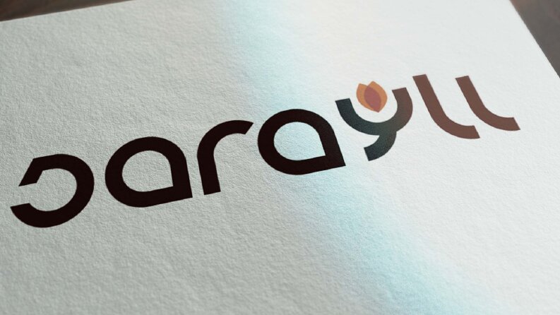 Saraylı Logo Çalışması