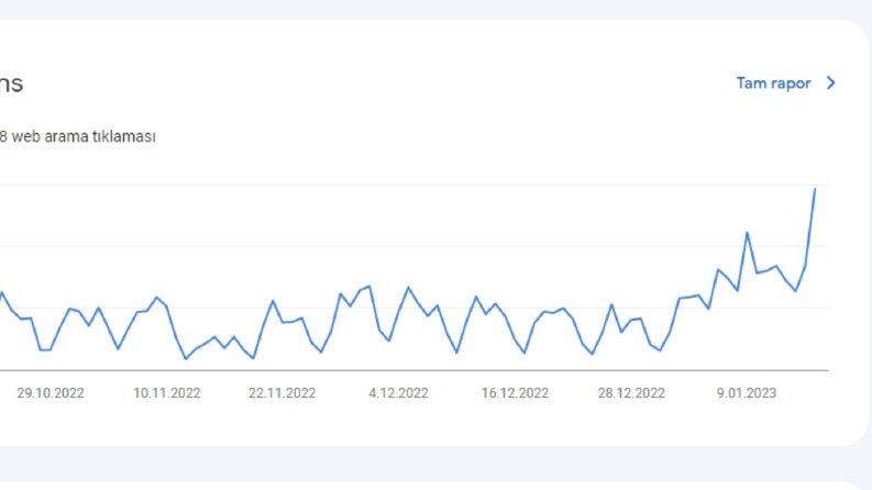 Web sitesi çalışması sonrası kısa zamanda yakalanan gelişme