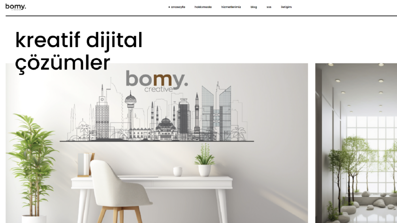 website kurulum ve düzenlenmesi