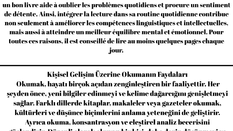 Profesyonel İngilizce-Türkçe Çevirmen