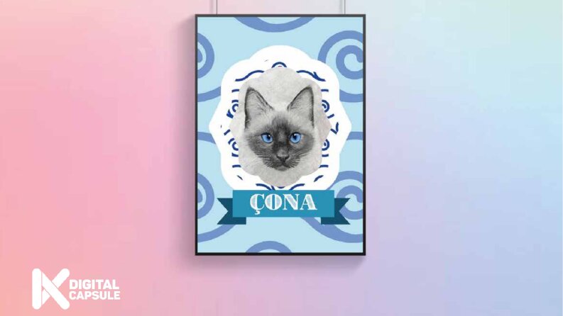 Poster Tasarımı Proje Örneği - Çona