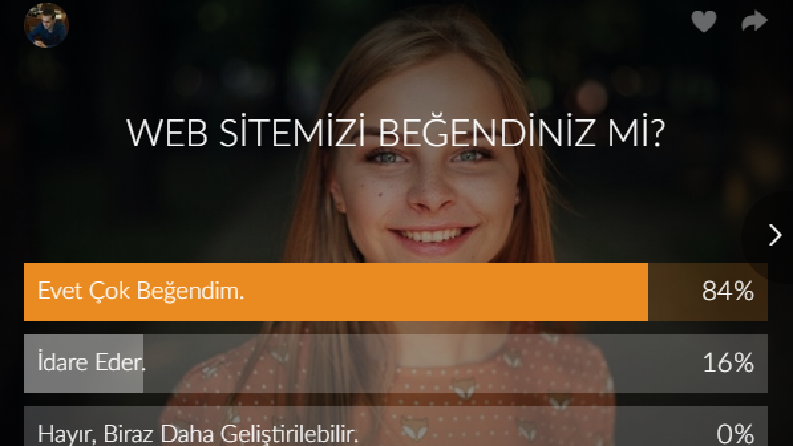 anket2