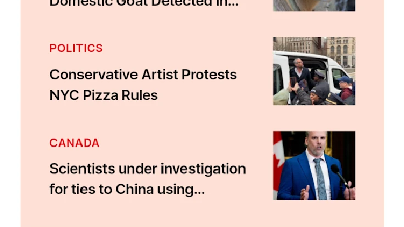 News The World's WebView Uygulaması