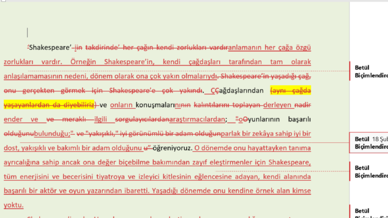 İngilizce çeviri kitap metin editörlüğü