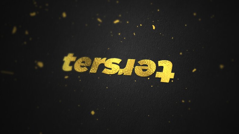 Ters Firması