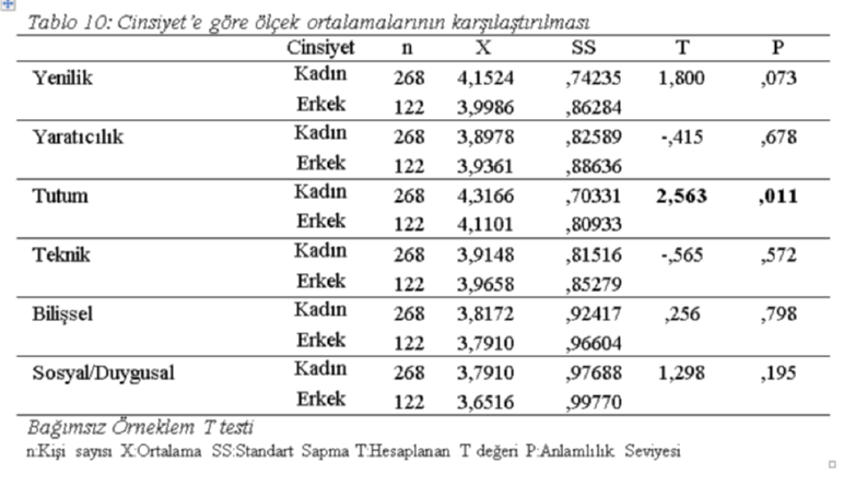 Rapor Kesit 3