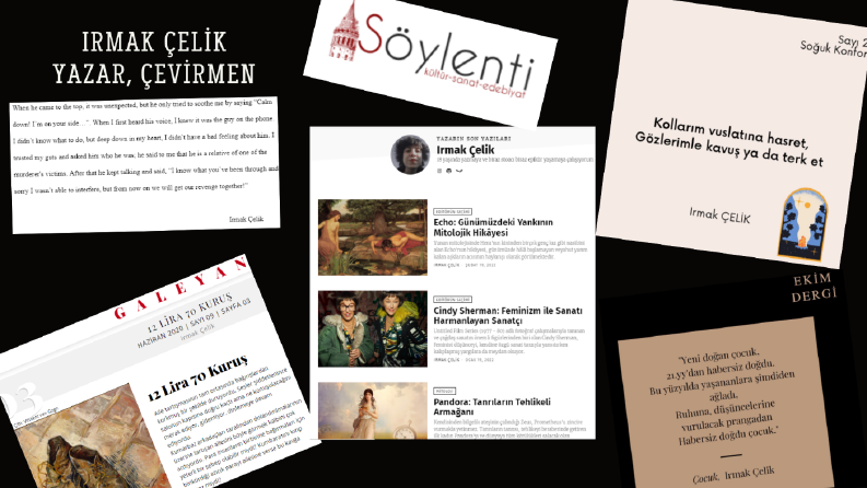 Çeviri, İçerik-Metin-Makale-Edebiyat Yazarı