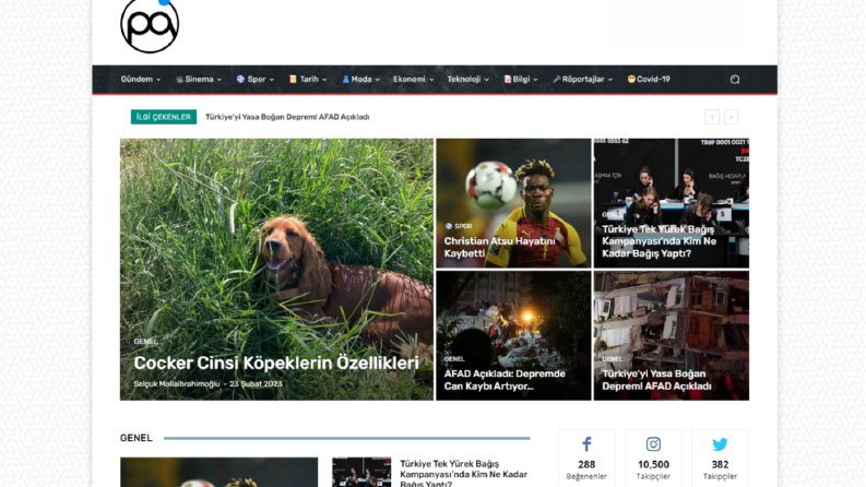 Wordpress Siteler