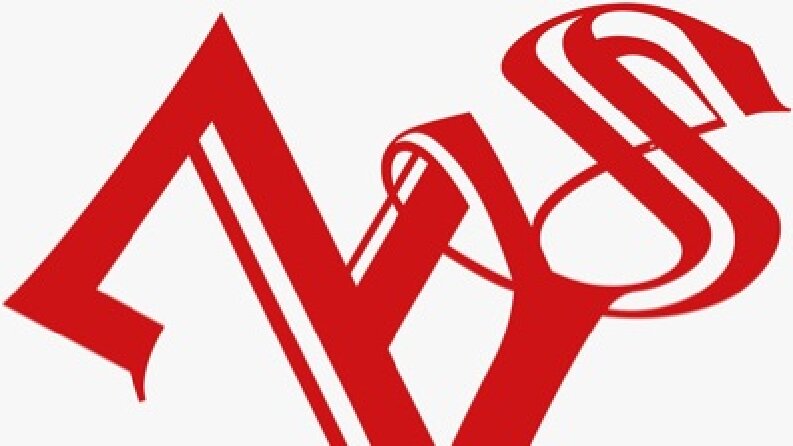 ZS Logo tasarımım 