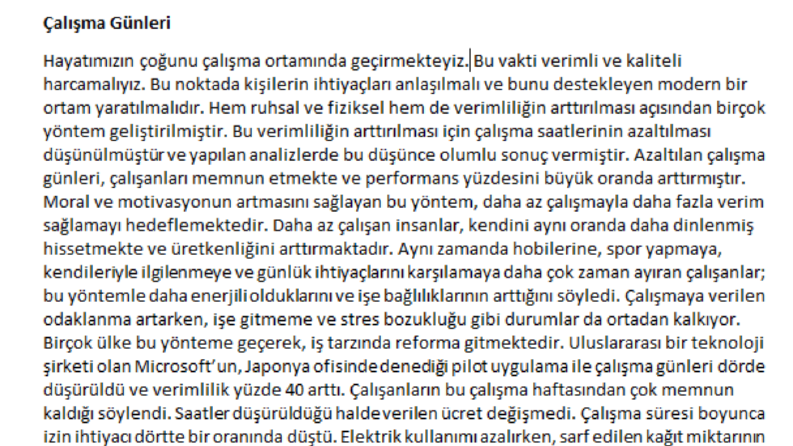 Çalışma Günleri