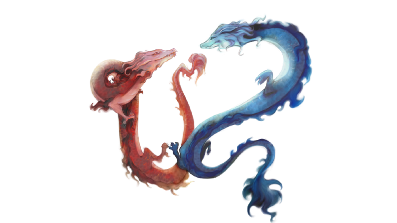 VetDragon - Wallpaper tasarımı